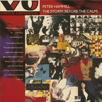 Peter Hammill - The Storm - Before The Calm