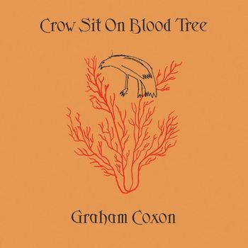 Graham Coxon - Crow Sit On Blood Tree (Explicit)