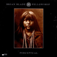 Brian Blade - Perceptual