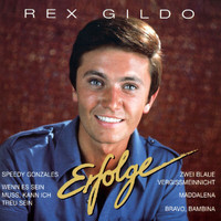 Rex Gildo - Erfolge