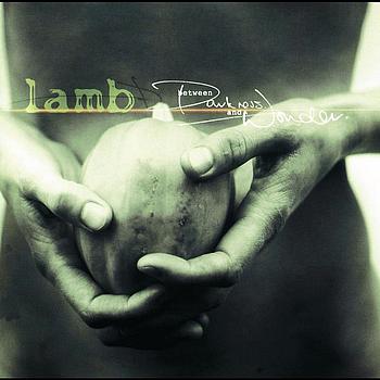Lamb - Between Darkness And Wonder