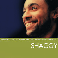 Shaggy - Essential (Explicit)