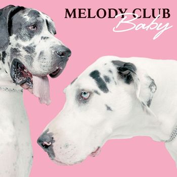 Melody Club - Baby (Stand Up)