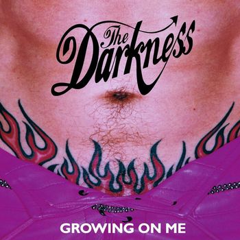 The Darkness - Growing on Me
