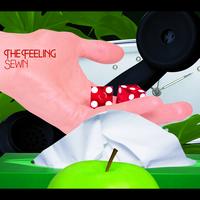 The Feeling - Sewn (Radio Edit)