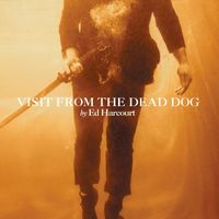 Ed Harcourt - Visit From The Dead Dog
