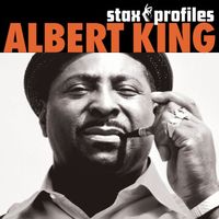Albert King - Stax Profiles: Albert King