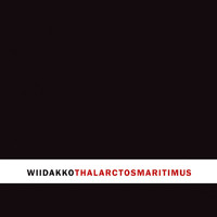 Wiidakko - Thalarctos Maritimus