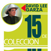 David Lee Garza - 15 De Coleccion