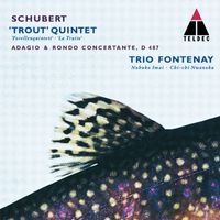 Trio Fontenay - Schubert : Trout Quintet, Adagio & Rondo Concertante