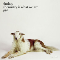 Simian - Chemistry Is What We Are
