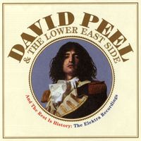 David Peel and The Lower East Side - And The Rest Is History: The Elektra Recordings