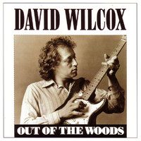 David Wilcox - Out Of The Woods