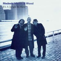 Medeski Martin & Wood - It's A Jungle In Here