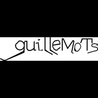 Guillemots - Trains to Brazil (Live at Reading 2006)