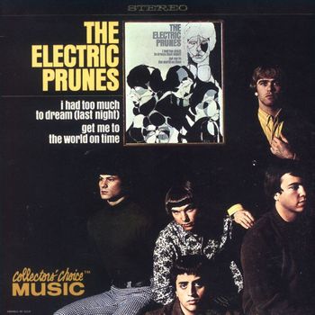 The Electric Prunes - I Had Too Much To Dream (Last Night)