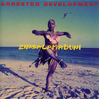 ARRESTED DEVELOPMENT - Zingalamaduni