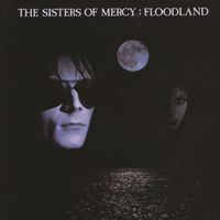 Sisters Of Mercy - Floodland (2006 Remaster; Expanded Deluxe Version [Explicit])