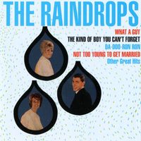 The Raindrops - The Raindrops [Digital Version]