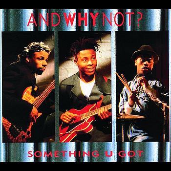And Why Not? - Something You Got