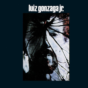 Luiz Gonzaga - Luiz Gonzaga Jr - Gonzaguinha