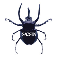 Saosin - Voices (Acoustic)