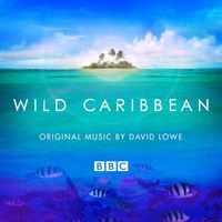David Lowe - Wild Caribbean - Original Music By David Lowe