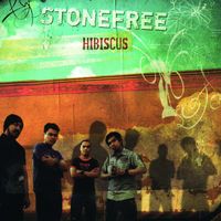 Stonefree - Hibiscus