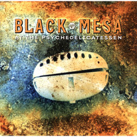 Black Mesa - At The Psychedelicatessen