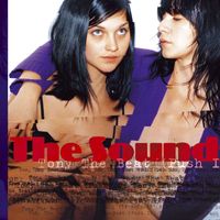 The Sounds - Tony The Beat (Push It)