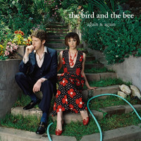 the bird and the bee - Again & Again (Explicit)