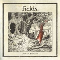 Fields - Charming The Flames (Multiple Track DMD)