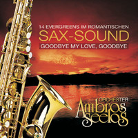 Orchester Ambros Seelos - Goodbye My Love, Goodbye