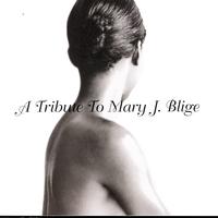 Various Artists - Mary J. Blige Tribute - A Tribute To Mary J. Blige