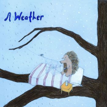 A Weather - Feather Test
