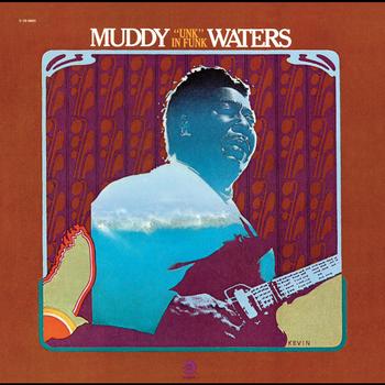 Muddy Waters - Unk In Funk