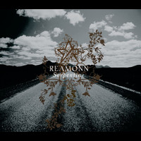Reamonn - Serpentine (Online Version)