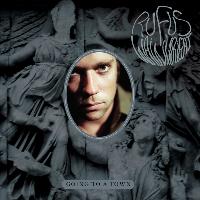 Rufus Wainwright - Going To A Town