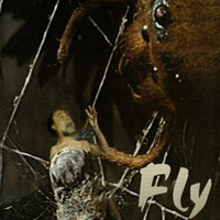 Phil Zuckerman - Fly