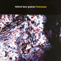 Natural Born Grooves - Forerunner