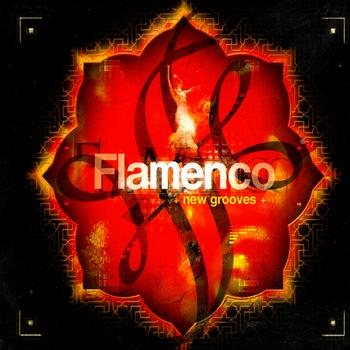 Various Artists - Flamenco New Grooves