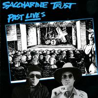 Saccharine Trust - Past Lives