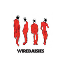 Wire Daisies - Wire Daisies