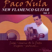 Paco Nula - New Flamenco Guitar 3