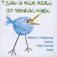 Misha V. Stefanuk - I Saw A Blue Bird In Central Park