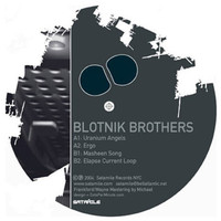 Blotnik Brothers - Pragmatic Response