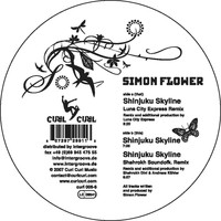 Simon Flower - Shinjuku Skyline