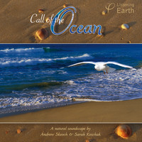 Andrew Skeoch & Sarah Koschak - Call of the Ocean