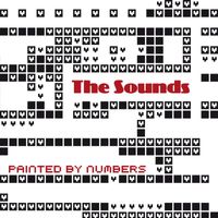 The Sounds - Painted By Numbers