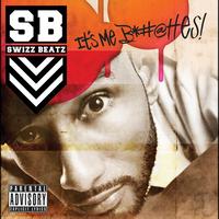 Swizz Beatz - It's Me Snitches